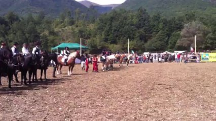 NITRITI D'AUTUNNO 2013 PRESENTAZIONE PARTECIPANTI