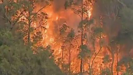 Raging bushfires in west Sydney, Australia