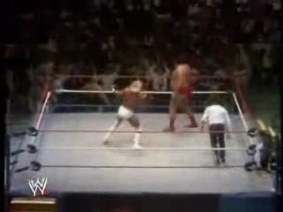 hogan & andre vs studd & bundy