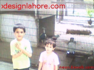 Murder & Torture Crimes in Lahore Pakistan