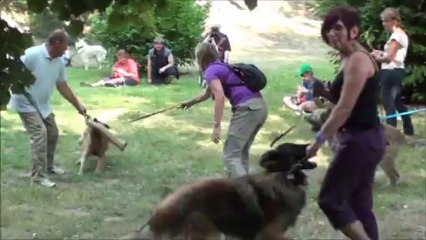 LA CKALIKSOU : Nat. d'élevage 2013