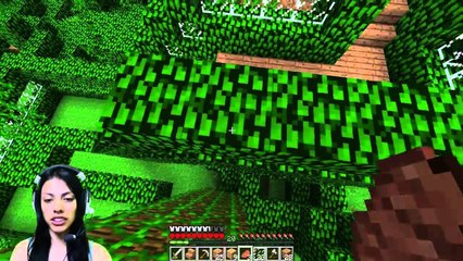 Minecraft Hardcore - Ep 11 - Die of Hunger!