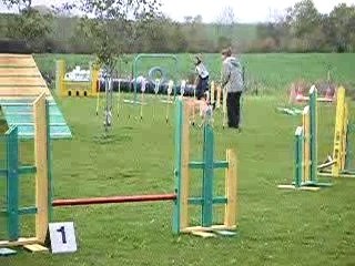 Agility : dernier entrainement