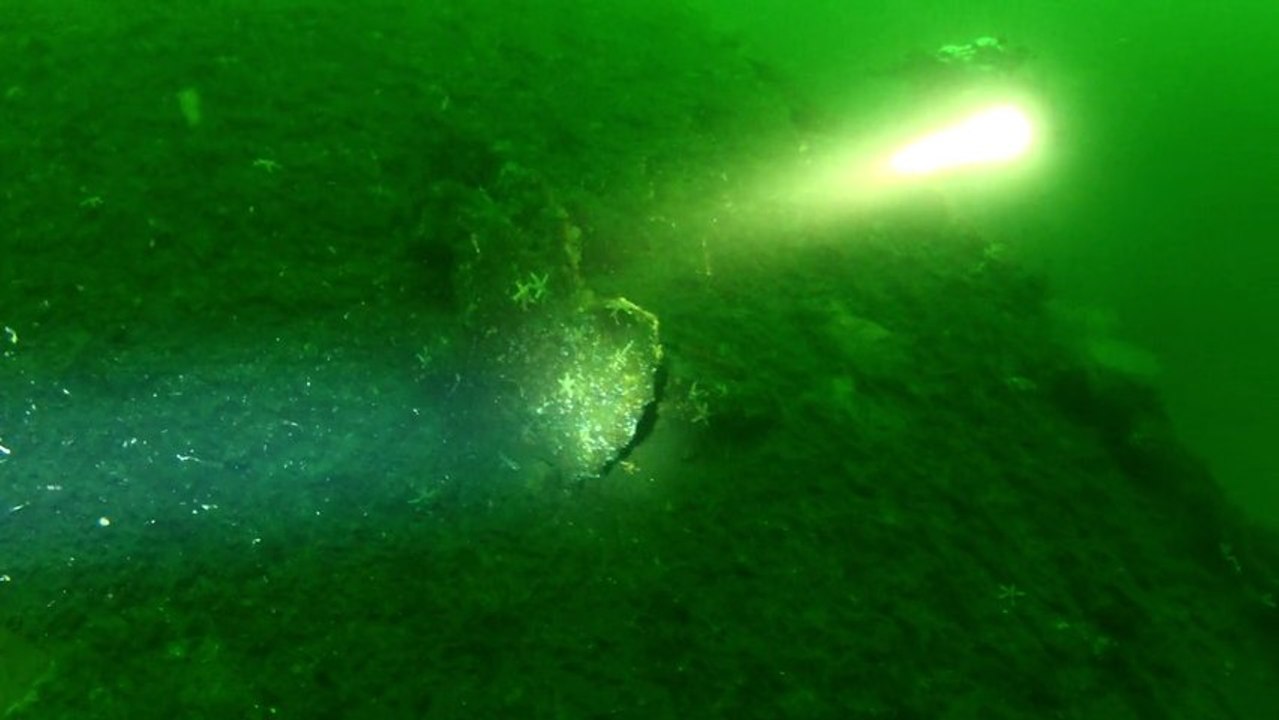 [AQUAGEEKS] Wreckdiving with some jelly fish