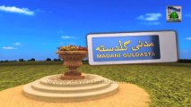 Useful Information 419 - Hajj ke Zaroori Masail - Mufti Ali Asghar