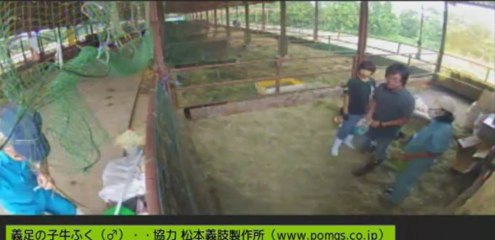 2013-09-03 14-36-27　伊東先生　針さん　女性ボラさん