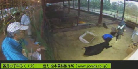 20130905　伊東先生　ようこちゃん　男性ボラさん　いちごちゃん