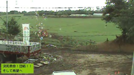 2013-09-06 14　牧場　男性ボラさんと牛たち