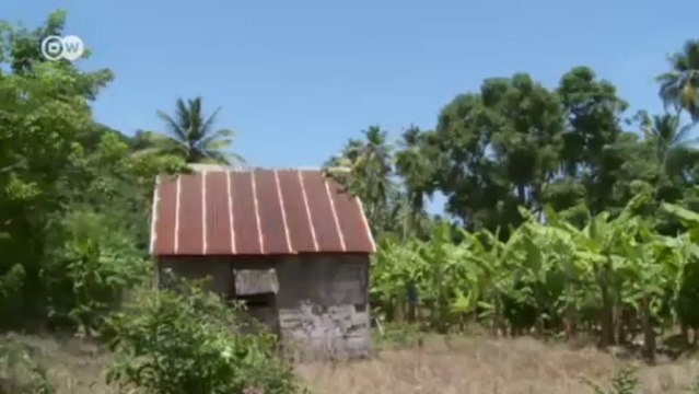 Santa Lucía: un seguro contra huracanes | Global 3000