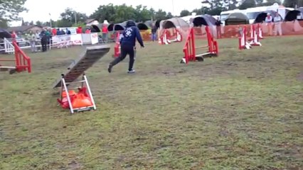 saint jean d illac cockers nathalie