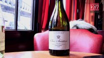 Vin corse : Coup de coeur pour le Domaine Santini