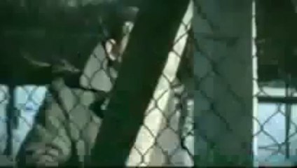 Sezi Çeşitli - Acının Öyküsü Tual