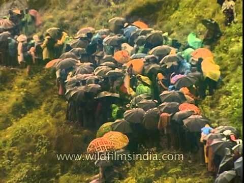 Pilgrimage on Process - Nanda Devi Raj Jat Yatra