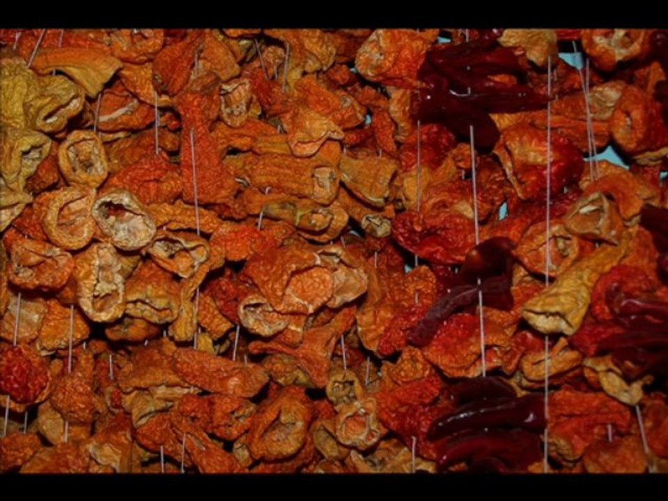 Gülmahmut Köyü Tanıtım Videosu