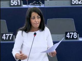 Karima Delli sur l'emploi des jeunes en Europe (10 sept 2013)