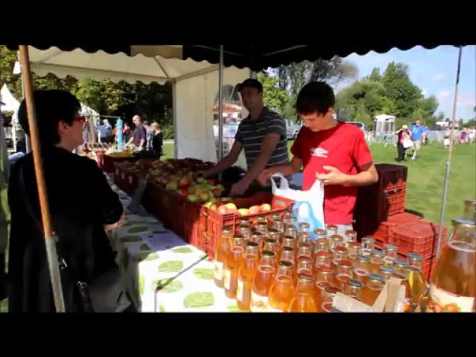 La fête de l'âne, Estiv'ânes à Estaires