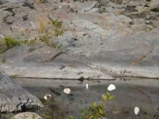 De la légèreté des pierres