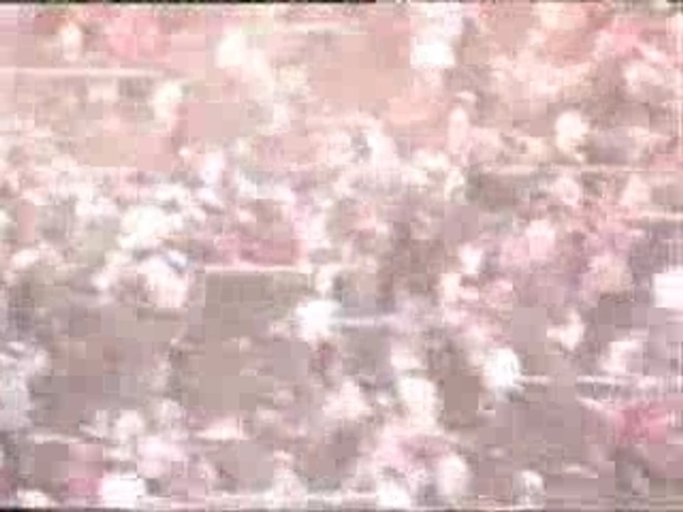 Liverpool-Juventus