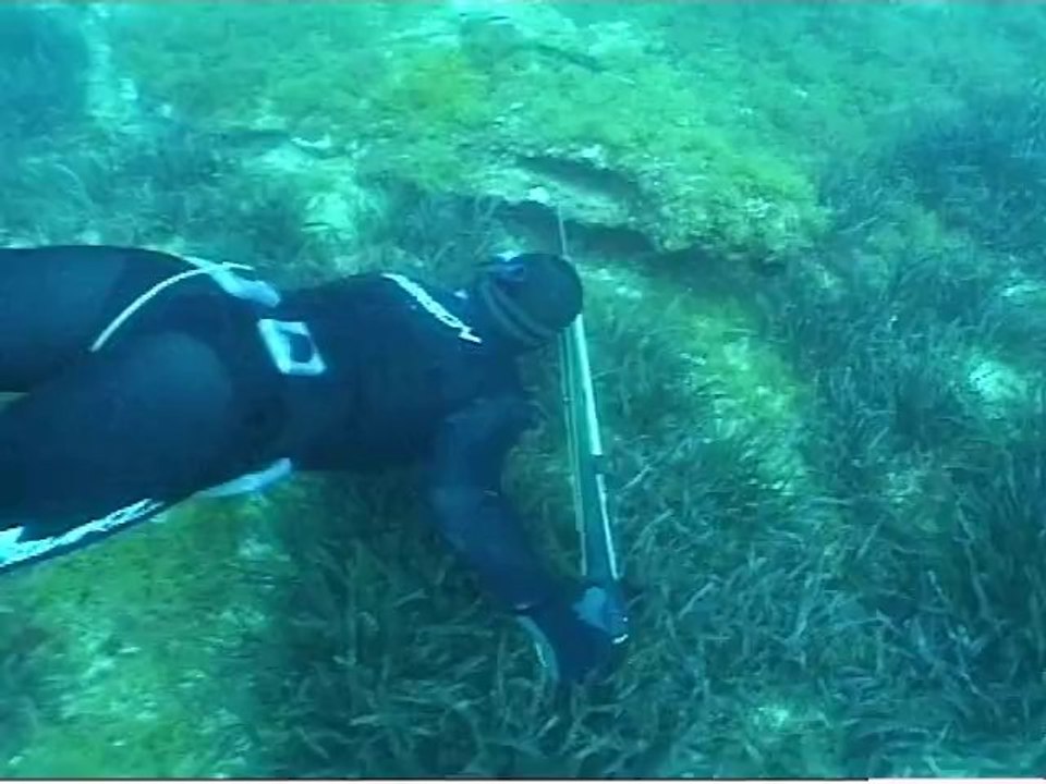 Bande annonce du film Chasse sous-marine, les leçons de l'expérience avec Gérard Ségura