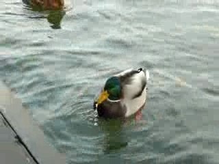 Puerto de Helsinki. Noviembre