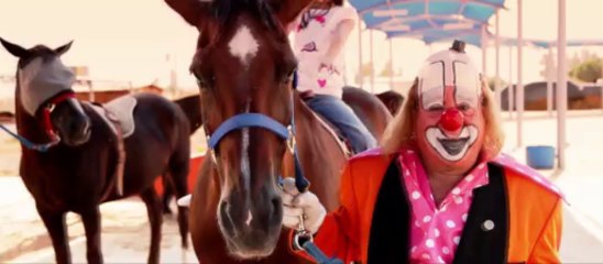 TELETON RORRITO 2013