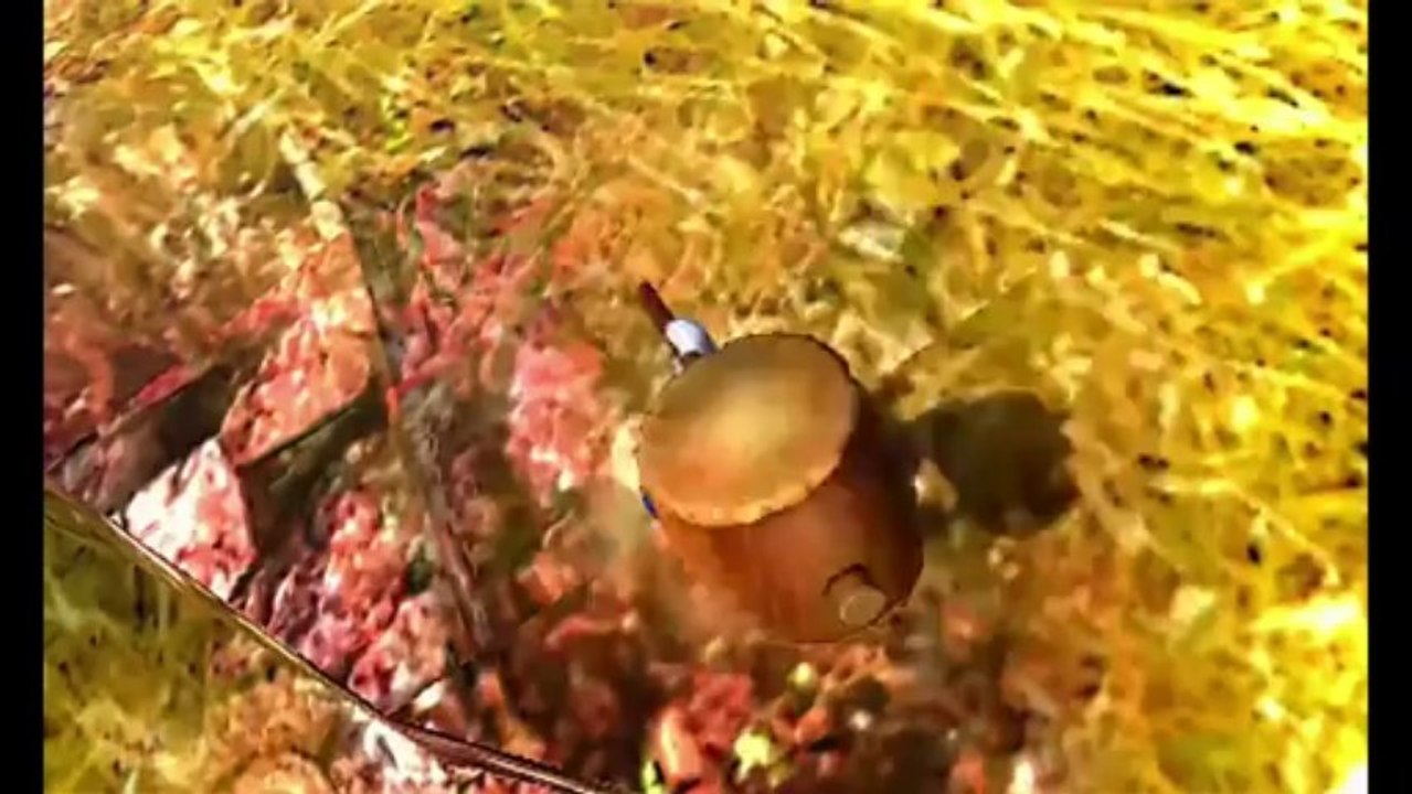 Monster Hunter 4 - Mario et Luigi dans Monster Hunter 4