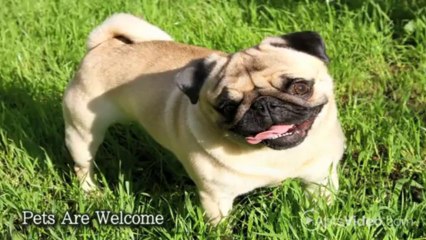 Andover Apartments in Toledo, OH - ForRent.com