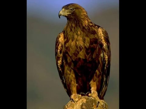 Har Lehza Hai Momin - Allama Iqbal Poetry