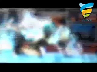 Hollywood animation: Kung Fu Panda