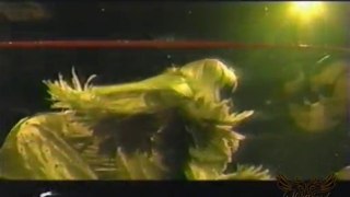 Blue Meanie Discusses Teaming With Goldust - 2002