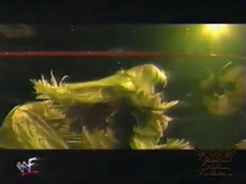 Blue Meanie Discusses Teaming With Goldust - 2002