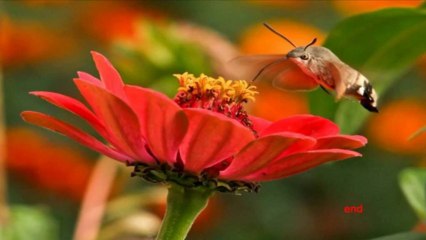 Vyacheslav Mishchenko Photos (PP720p)