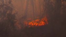 Bushfire burns west of Sydney