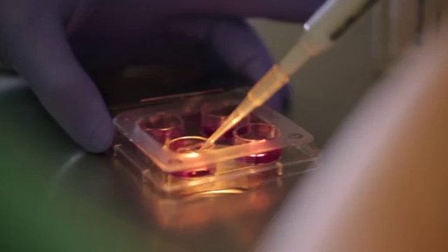 Episode 4: Le Centre de procréation médicalement assistée de la clinique Générale-Beaulieu