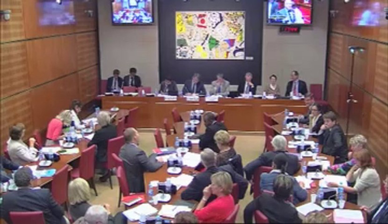 Intervention en commission audition Peillon 10.09.2013