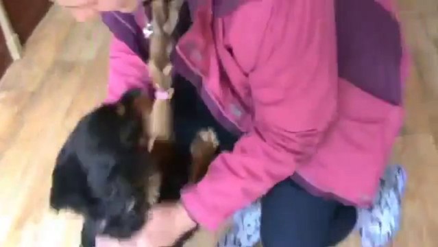 Il retrouve ses maîtres après 22 mois de séparation!! Le chien le plus mignon du monde..