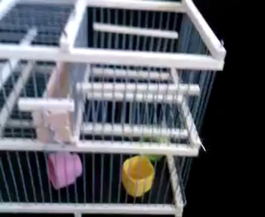 Cage Multireprise a Une trappe