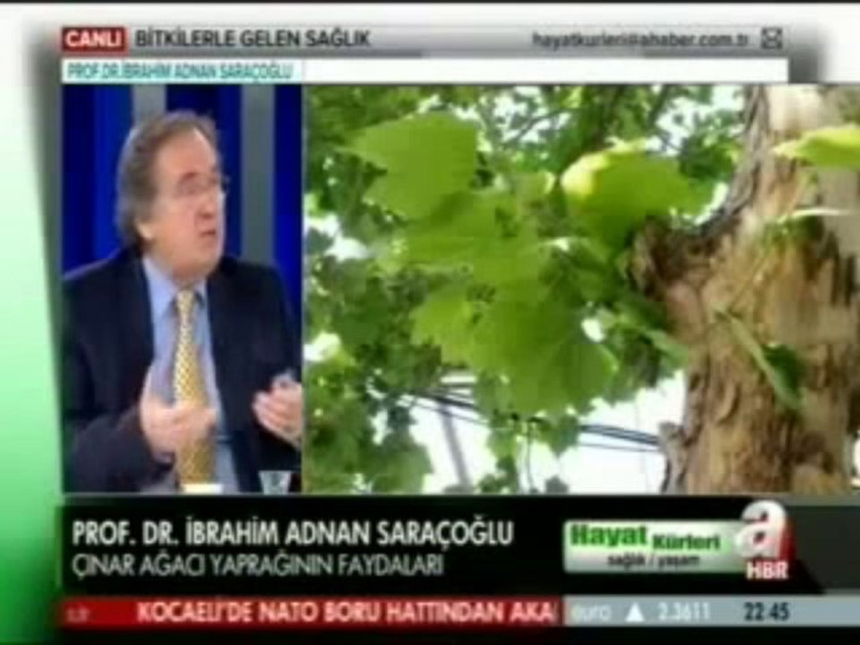 Çınar Yaprağı FaydalarıÇınar Yaprağının Kullanımı  Neye İyi Gelir İbrahim Saraçoğlu