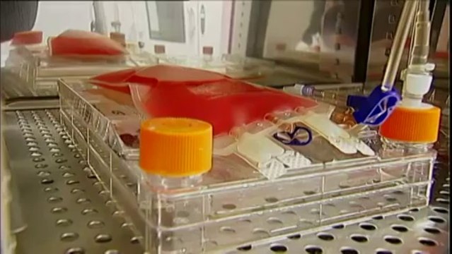 La recherche sur les cellules souches devient industrielle