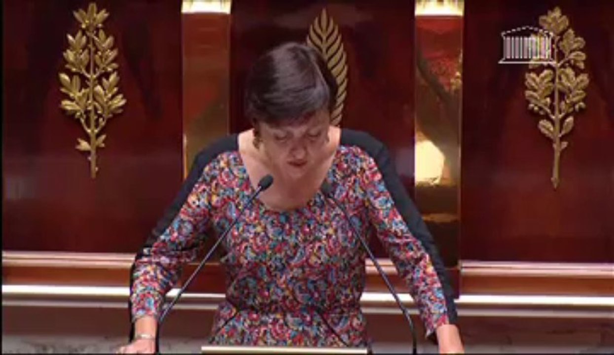 Séance publique Assemblée nationale 10/09/2013 - loi Logement
