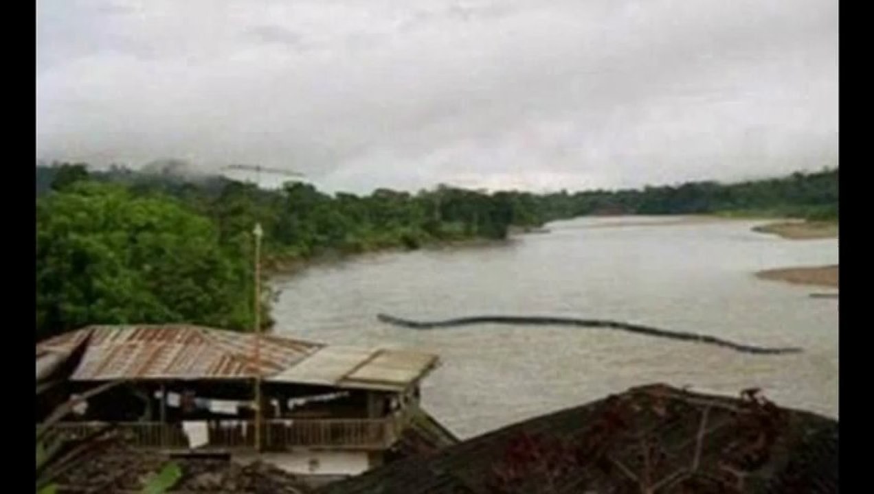 Photos of the world's biggest snake found alive!!!