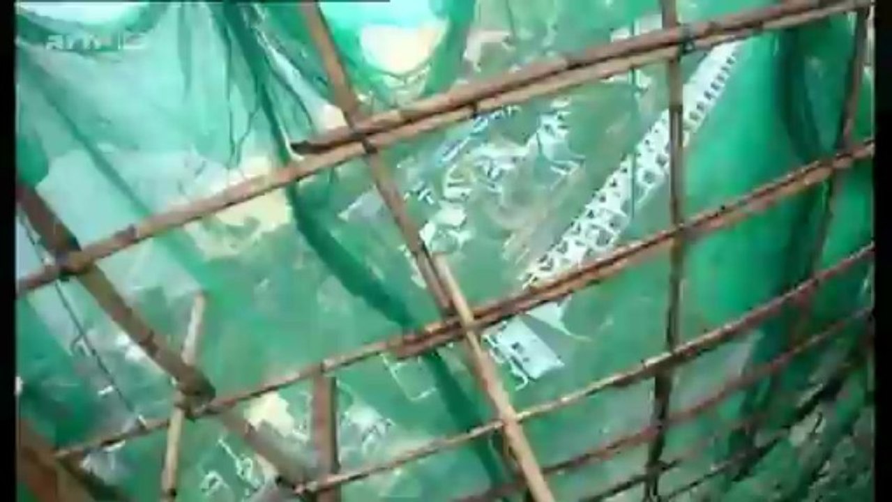 360 Grad Geo Reportage - Hongkongs Bambusakrobaten - HD Doku - German