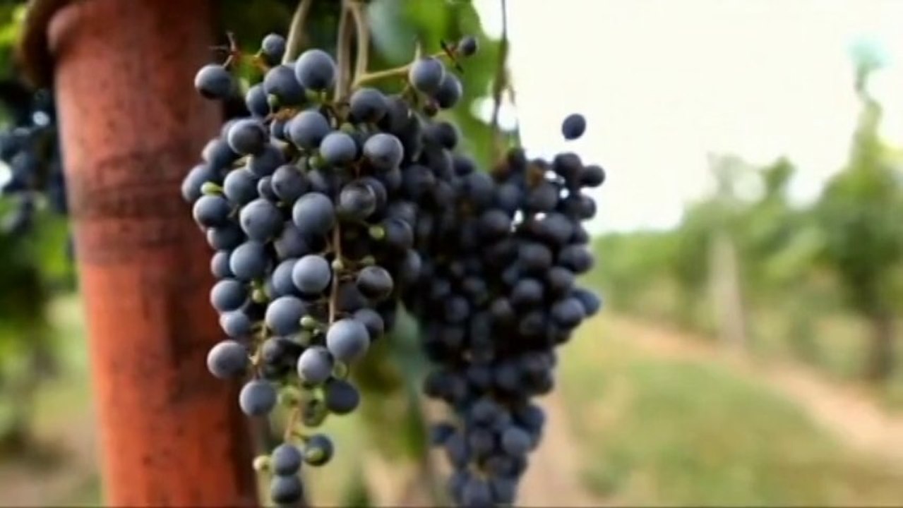 Vlasta Redl - Ještě mi chvilku zpívej