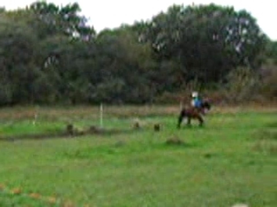 Opale obs