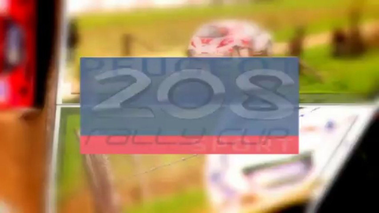 208 Rally Cup : Rallye Mont-Blanc Morzine 2013