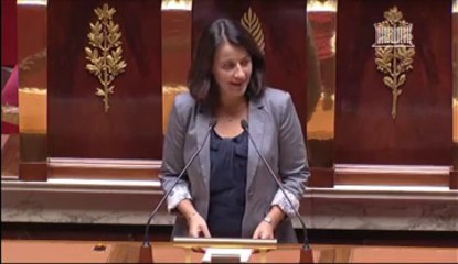 Скачать видео: Discours de Cécile Duflot à l'Assemblée nationale pour le projet de loi Alur