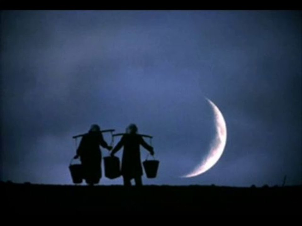 şeyhimin illeri - sami savni özer