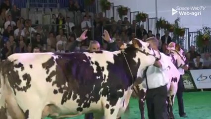 Concours normande Space 2013 - Jean-Yves Abraham : « Derline, une très très grande championne »