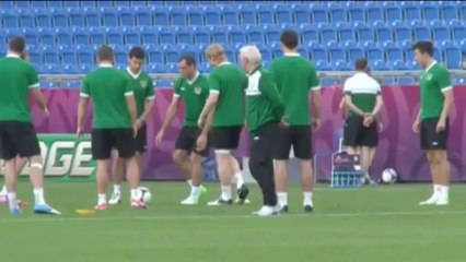 Trapattoni sacked by Ireland