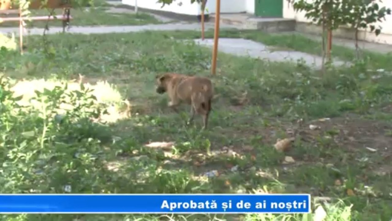 Aprobată și de ai noștri